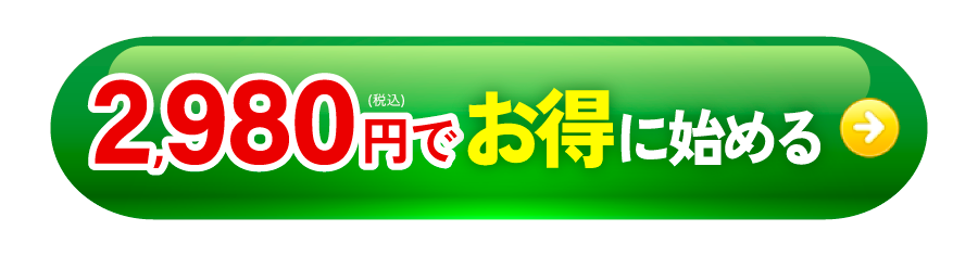 2980円でお得に始めてみる